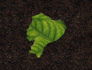 3D rendering of the Ecuador map made of a green leave on soil background - ecology concept