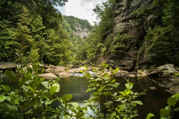 View of the lake in the mountains
