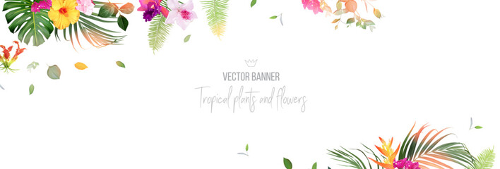 Tropical banner arranged from exotic emerald leaves and exotic flowers - obrazy, fototapety, plakaty