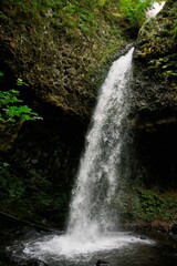 Vertical image of a waterfall in a forest in summer around Corbett, Oregon