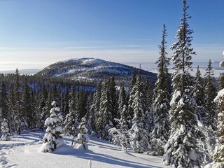 Winter landscape in Kandalaksha, Kola Peninsula, Murmansk region. View from one mountain to another...