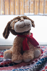 teddy bear on the floor teddy bear on the couch snowing window home wearing red scarf dog stuffed animal toy cold winter snowy day 