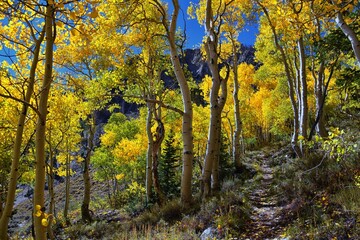 Deseret Peak hiking trail Stansbury Mountains, by Oquirrh Mountains Rocky Mountains, Utah. America. 