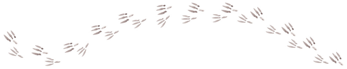 Border with the trajectory of bird tracks. Crooked path. Path in the snow. Isolated watercolor illustration