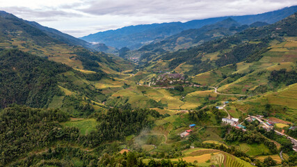 Rice fields on terraced prepare the harvest at Northwest Vietnam.