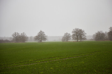 Outdoor countryside in a misty field, foggy rainy day, selective focus