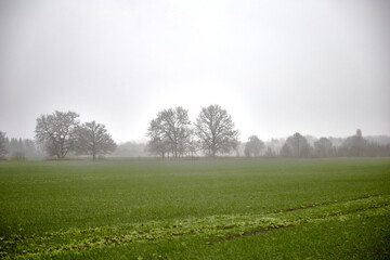 Fototapeta na wymiar Outdoor countryside in a misty field, foggy rainy day, selective focus