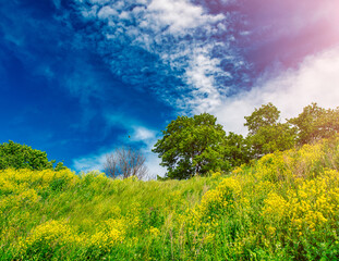 Beautiful park of Suomenlinna on a sunny day, Helsinki.