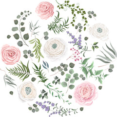 Vector Floral Set. White and pink roses, ranunculus, eucalyptus. Different kinds of plants and leaves. Collection for wedding design 