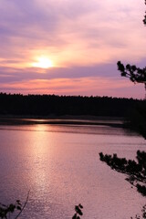 Orange sunset near the forest. There is a large lake and conifers nearby. A romantic landscape to enjoy nature. Purple color in the photo