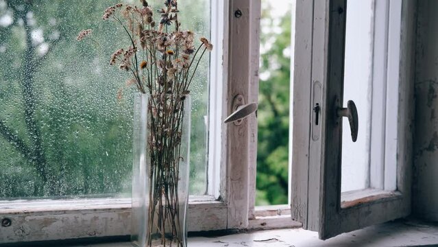 Rain throw Old wooden window and Dry daisies in a glass vase on window sill in need of repair and replacement