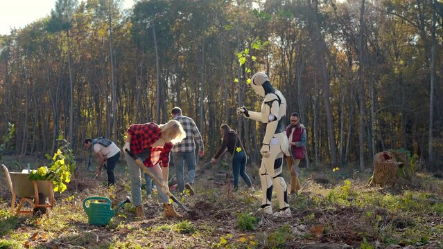 Robot humanoid helping to human in planting seedlings of trees in field at forest or park. Sunny autumn day. Android cooperating with woman for saving forests and planet ecology.
