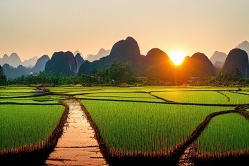 Sunset over green rice fields and mountains in Vang Vieng, Laos - obrazy, fototapety, plakaty