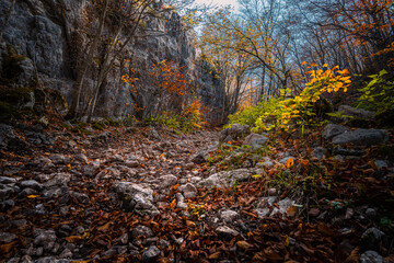 il foliage nei boschi del sirente, nel parco regionale del sirente velino