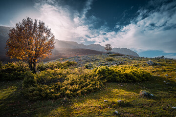 il foliage nei boschi del sirente, nel parco regionale del sirente velino