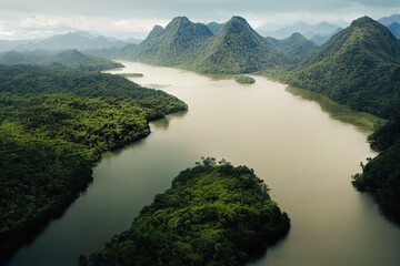 Fototapeta na wymiar Aerial view of river in tropical green forest with mountains in background