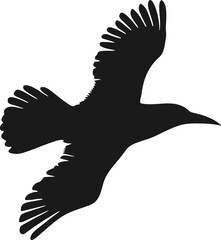 Obraz premium Design of raven silhouette