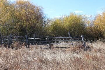 Fototapeta premium fence in autumn