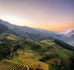 Fototapeta na wymiar Rice fields on terraced prepare the harvest at Northwest Vietnam.