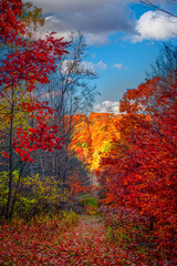 Fototapeta premium A very colorful Autumn in Upstate NY this year. Looking down an old ski trail at Aqua Terra in Binghamton NY.