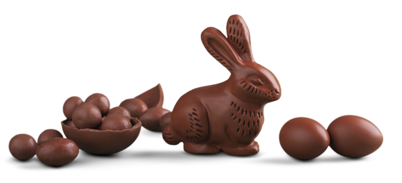 Delicious chocolate easter eggs and bunny