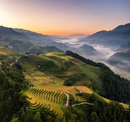 Rice fields on terraced prepare the harvest at Northwest Vietnam.
