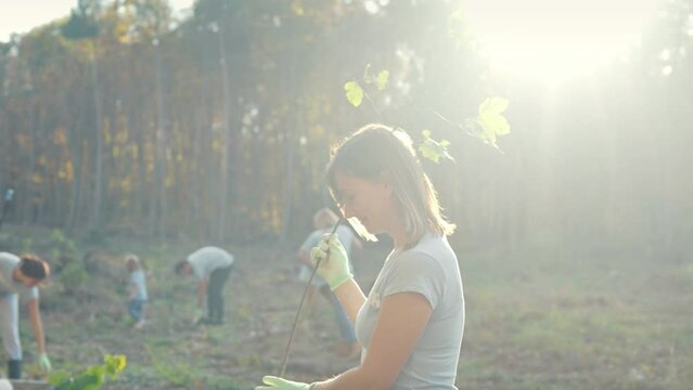 Caucasian woman walking and carrying tree seedling in hands to man and husband planting it in ground. Outdoor. Female helping to male in gardening. Watering plant. Cooperation.