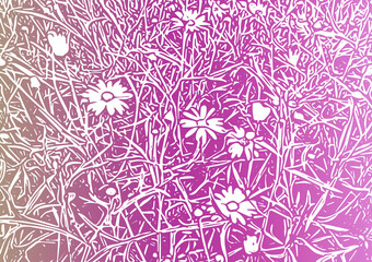 White daisy flower illustration on a pink background. Pattern background