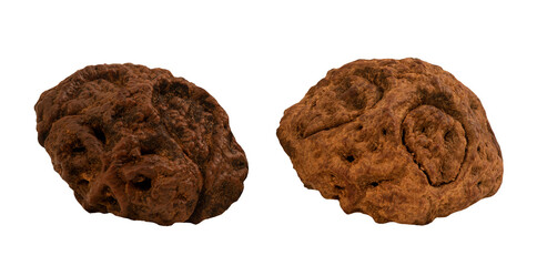 Dracontomelon dao fruits on transparent background.