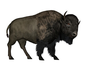 Bison walking - 3D  render