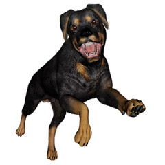 Rottweiller dog runnning - 3D render