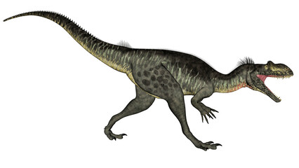 Obraz na płótnie Canvas Megalosaurus dinosaur - 3D render