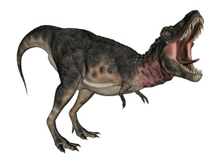 Obraz na płótnie Canvas Tarbosaurus dinosaur - 3D render