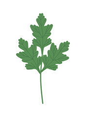 coriander leaves icon