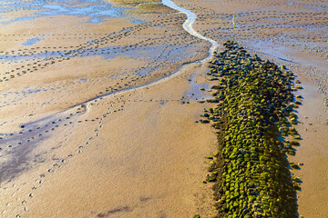 Beautiful coast mudflats and wadden sea seascape landscape Dorum Germany.