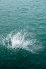 Sea water splashes after jumping to the ocean on dark green ripples background