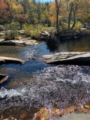 Obraz premium Fall Memories