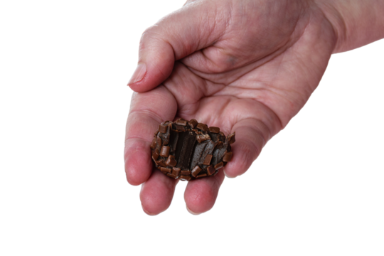 Confectioner holding a bitten brigadeiro. Brazilian traditional sweet (PNG).