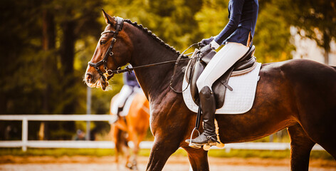 A beautiful bay horse with a rider in the saddle participates in dressage competitions on a summer...