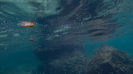 Panoramic scene under water and blue background