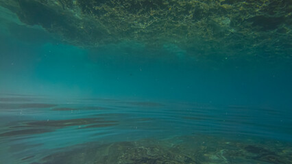 Panoramic scene under water and blue background