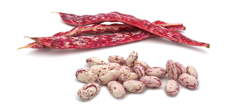 Gousses et haricots coco nain rose isol&eacute;s sur fond blanc 