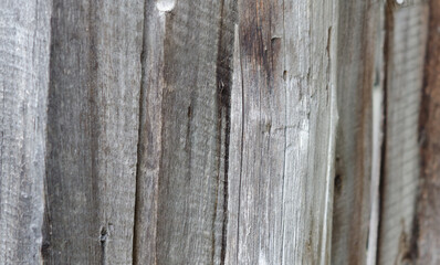 Wooden background old empty texture