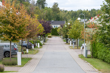 Suburban street with mailboxes and estate cars.