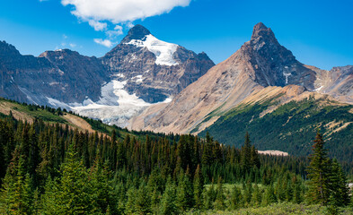 Beautiful view of Mount Athabasca and Hilda Peak over the green forest from the head of the Parker Ridge trail