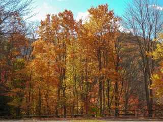 Beautiful autumn colors in Cataloochee Valley, North Carolina