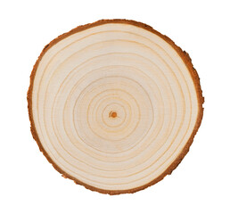 Eco Modern Tree Rings Art from Wood Cross Section - 545292328