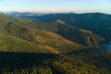 Aerial view of high hills with dark pine forest trees at autumn bright day. Amazing scenery of wild mountain woodland