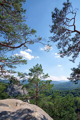 Big old pine tree growing on rocky mountain top under blue sky on summer mountain view background