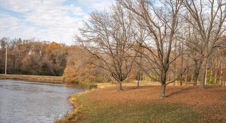 Fototapeta premium Park with a pond. Trees with bare branches and trees with leaves of green, yellow, orange and red for fall. Currents in the water can be seen. Puffy white clouds against a blue sky.